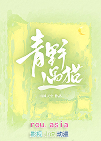 青野遇猫txt百度网盘资源