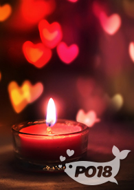 野狗驯化成家狗吗